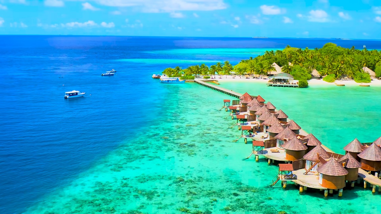 Maldives Bliss